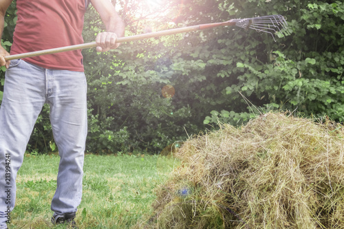 Wallpaper Mural Agricultural work on hay harvesting in the field. A man collects dry grass with pitchforks. Torontodigital.ca