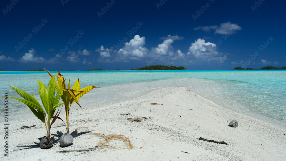 Tropical blue lagoon of Rangiroa atoll, French Polynesia Stock Photo