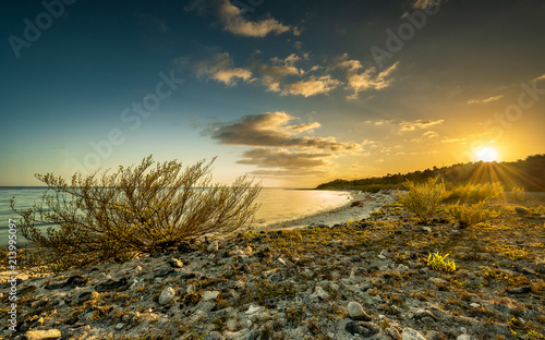 Fototapeta Naklejka Na Ścianę i Meble -  sunset over a cuban bay on a stony beach with tropical plants and a colorful sky