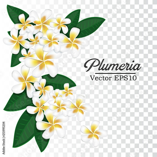 Vector floating flower