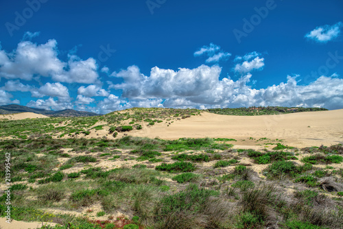 sand dunes along the shore on the outer banks. Sintra , Portugal
