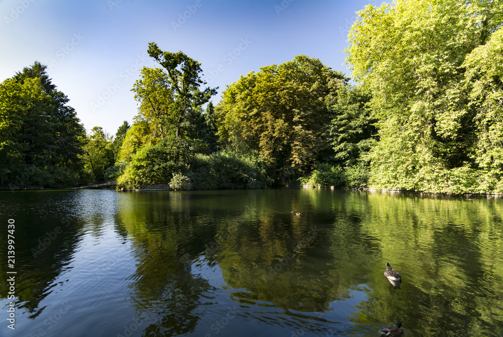 Lake and greenery at Christchurch park in Ipswich Suffolk
