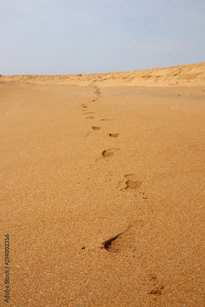 Man's track against a blue sky on the Indian Ocean Coast in the Western Province of Sri Lanka Man's track against a blue sky on the Indian Ocean Coast in the Western Province of Sri Lanka