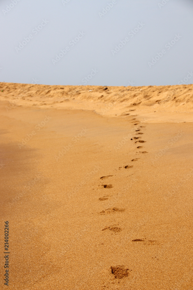 Man's track against a blue sky on the Indian Ocean Coast in the Western Province of Sri Lanka Man's track against a blue sky on the Indian Ocean Coast in the Western Province of Sri Lanka
