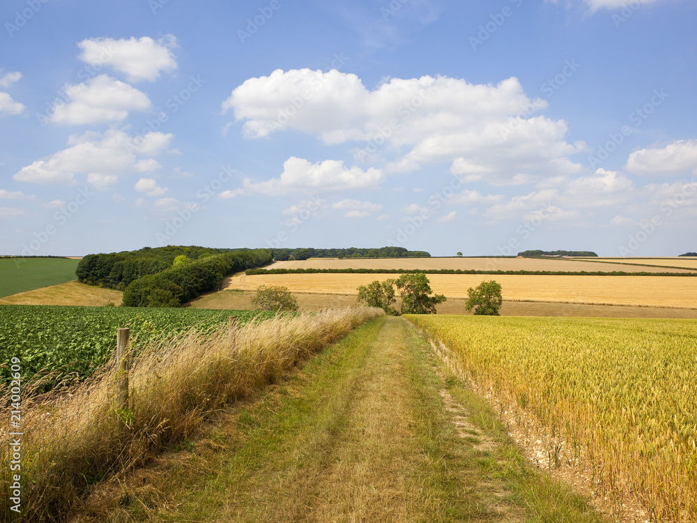 Fototapeta premium Yorkshire Wolds bridleway