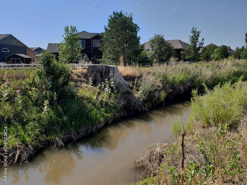 River with Tree Stump by Luxury Homes