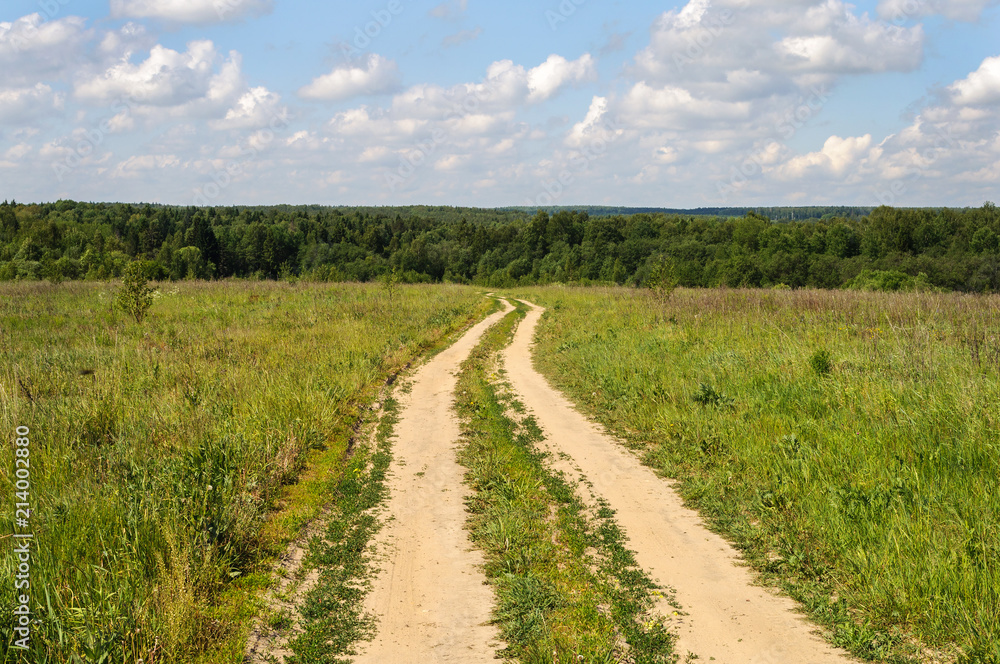 Dirt road in the meadow Dirt road in the meadow