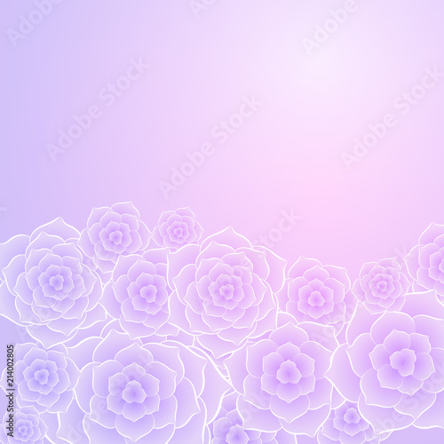 Beautiful purple pink rose flower background. Background for your design.