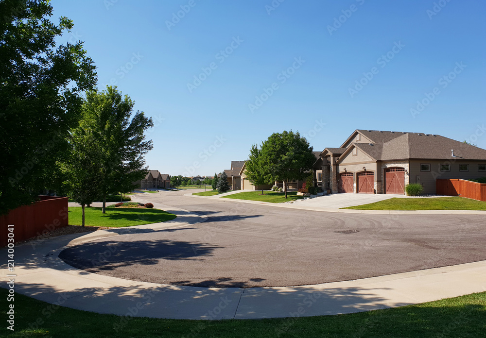 Homes in a Suburb