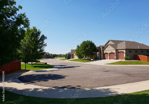 Homes in a Suburb