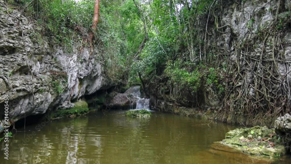 Stream pouring into large pool in tropical jungle Stream pouring into large pool in tropical jungle