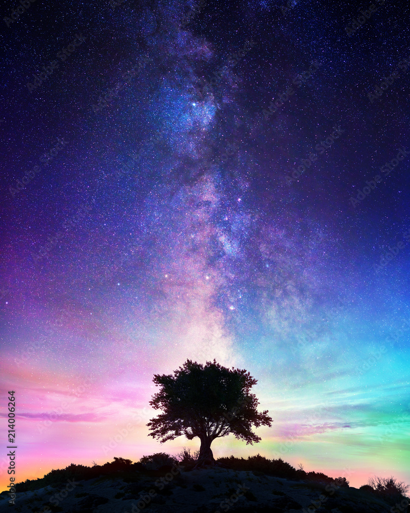 Fototapeta premium Gwiaździsta Noc - Samotne Drzewo Z Drogą Mleczną