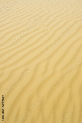 texture of sand on the dunes around the sea © szmuli