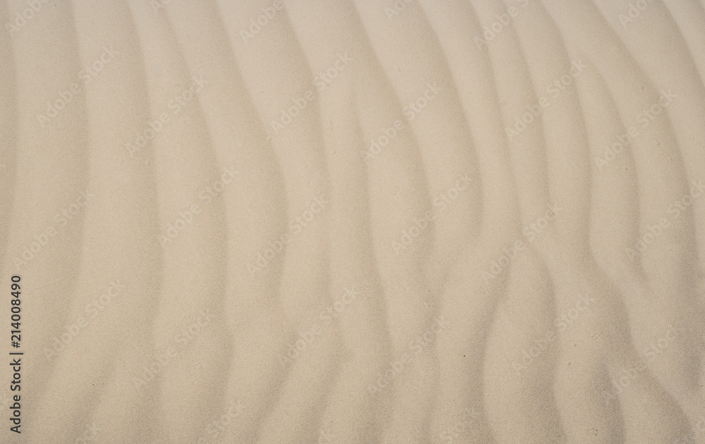 Obraz premium texture of sand on the dunes around the sea