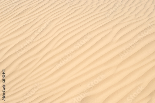 texture of sand on the dunes around the sea