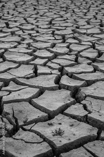 View of dried land, Spain.