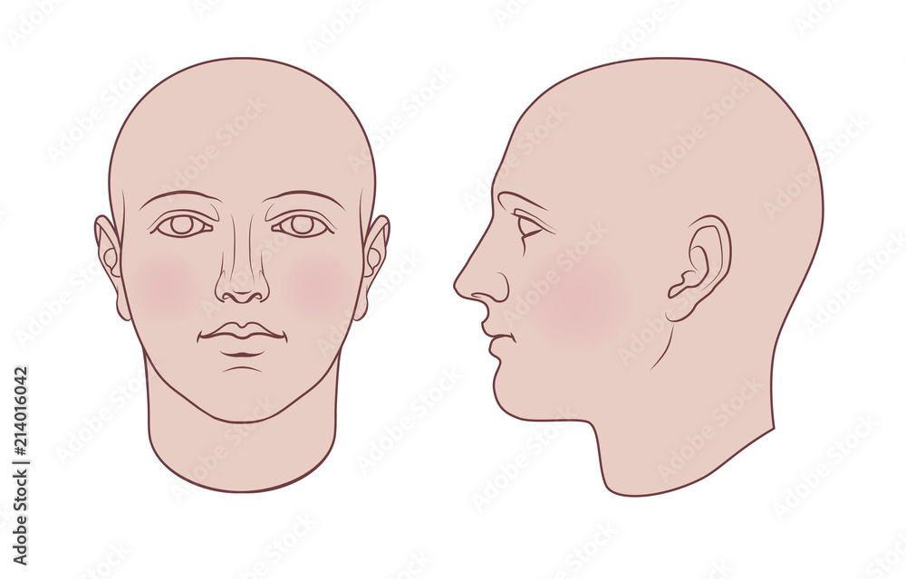 Obraz premium Hand drawn androgynous, gender-neutral human head in face and profile. Flat vector isolated on white background. The drawings can be used independently of each other.