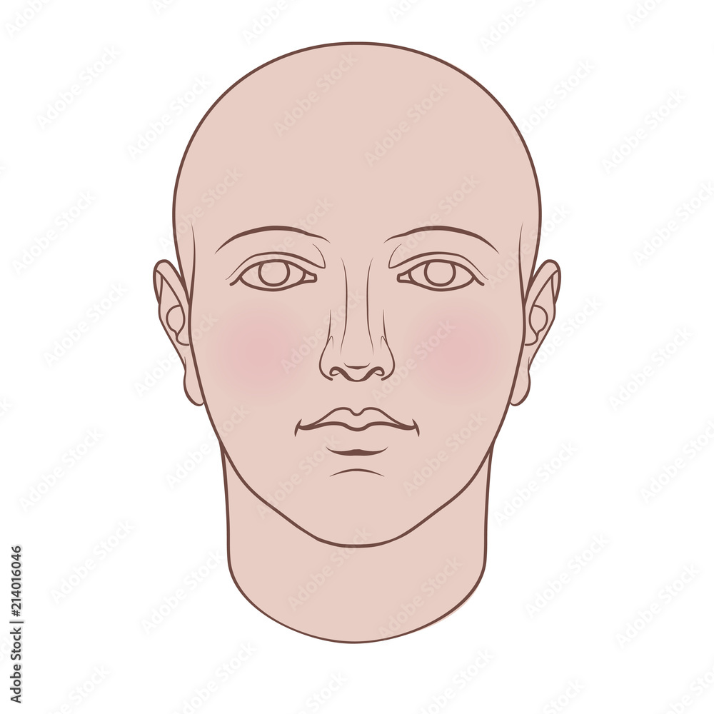 Fototapeta premium Hand drawn androgynous, gender-neutral human head in face. Flat vector isolated on white background.