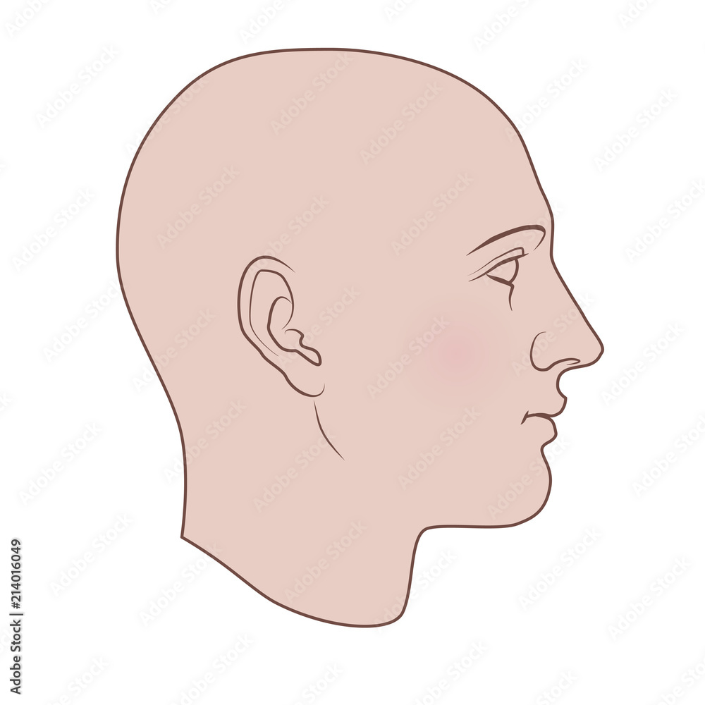 Fototapeta premium Hand drawn androgynous, gender-neutral human head in profile. Flat vector isolated on white background.