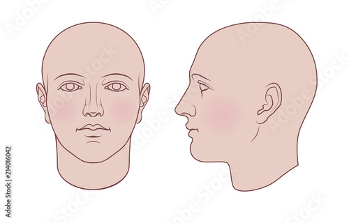 Hand drawn androgynous, gender-neutral human head in face and profile. Flat vector isolated on white background. The drawings can be used independently of each other.