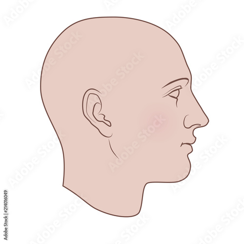 Hand drawn androgynous, gender-neutral human head in profile. Flat vector isolated on white background.
