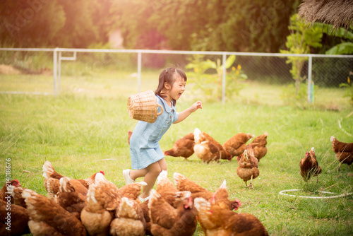 Happy little girl feeding chickens in front of chicken farm. Summer activities for kids.