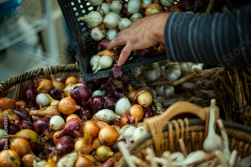Farmer filling a basket of small red, yellow and white onions