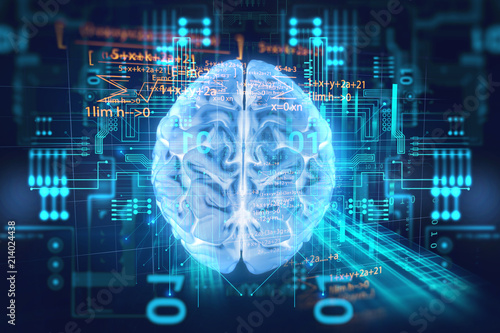 3d rendering of human brain on programming language background