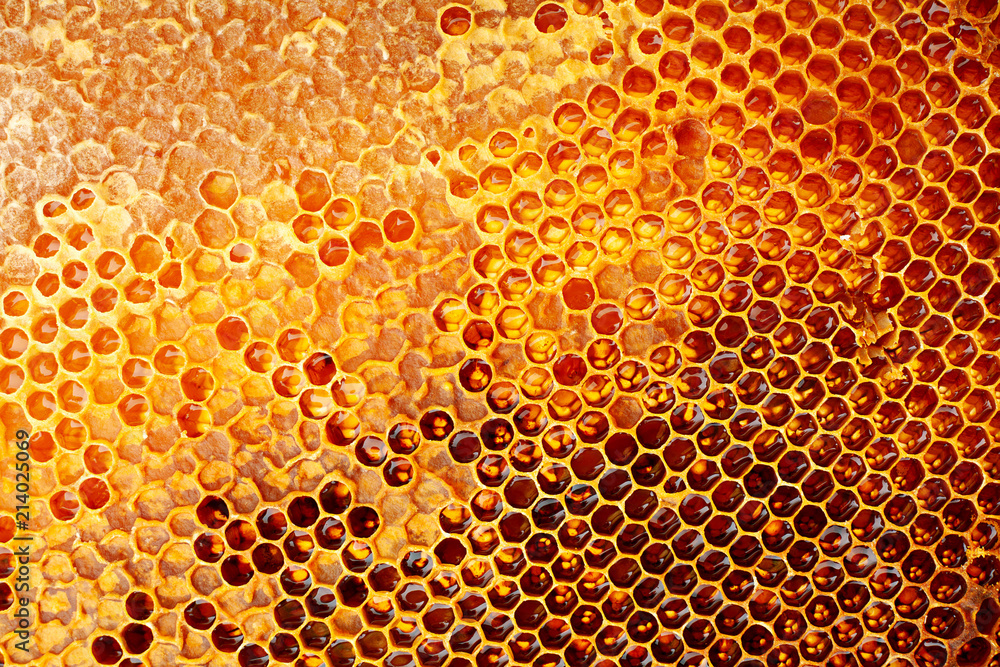 Yellow Honeycomb closeup background Yellow Honeycomb closeup background