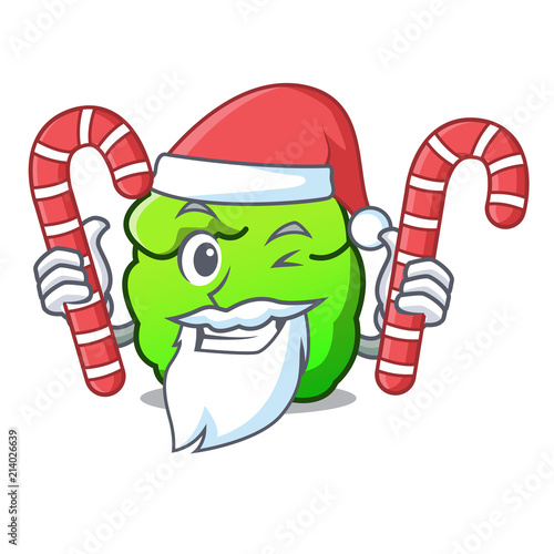 Santa with candy shrub mascot cartoon style