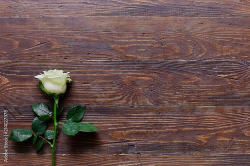 White rose on a brown old wooden table. Space for text or label