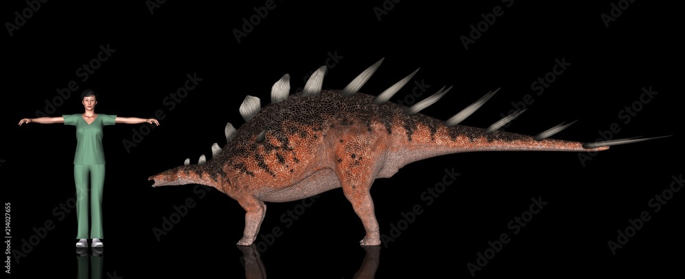 恐竜縮尺図 ケントロサウルス Stock イラスト Adobe Stock