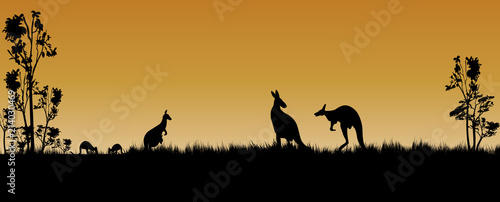 kangaroos and trees as a silhouette in the sunset © electra kay-smith