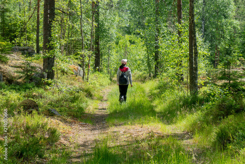Woman hiker on a trail in a fresh green forest seen from behind