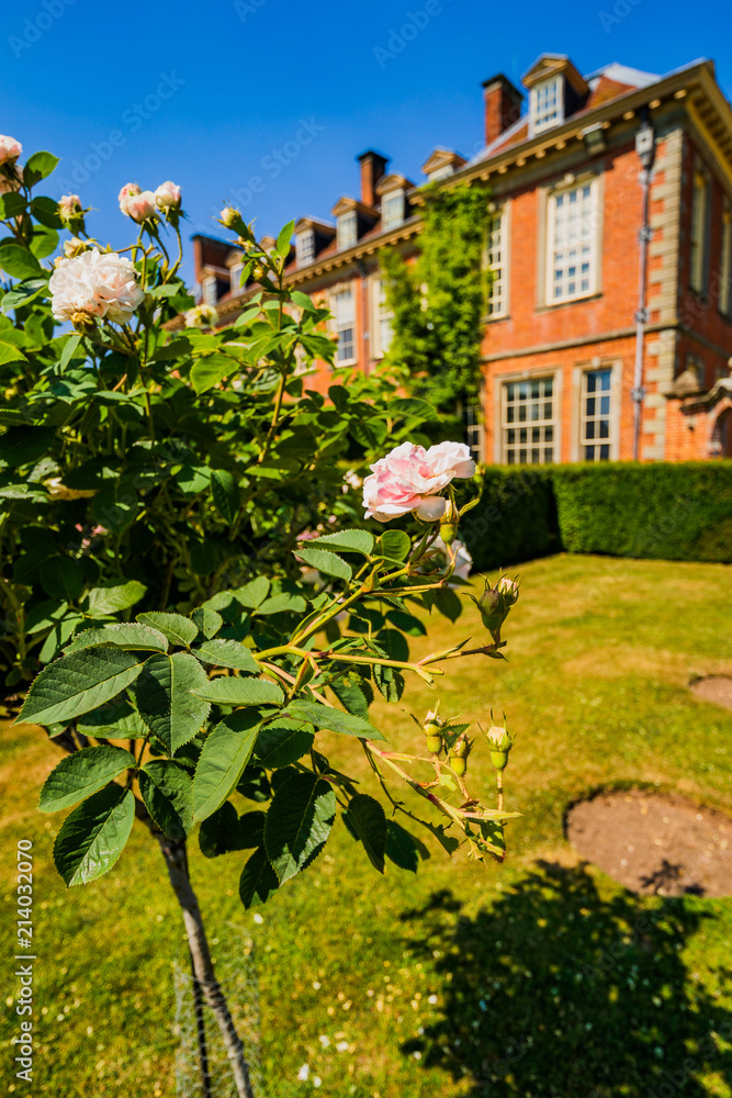 rose garden hanbury hall stately home worcestershire england uk