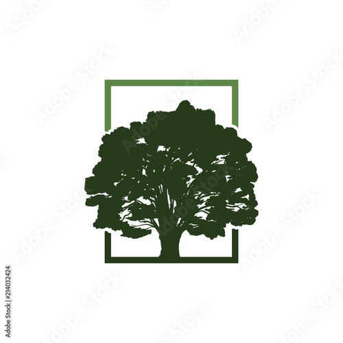 Green Oak Tree in Square Ecology Symbol