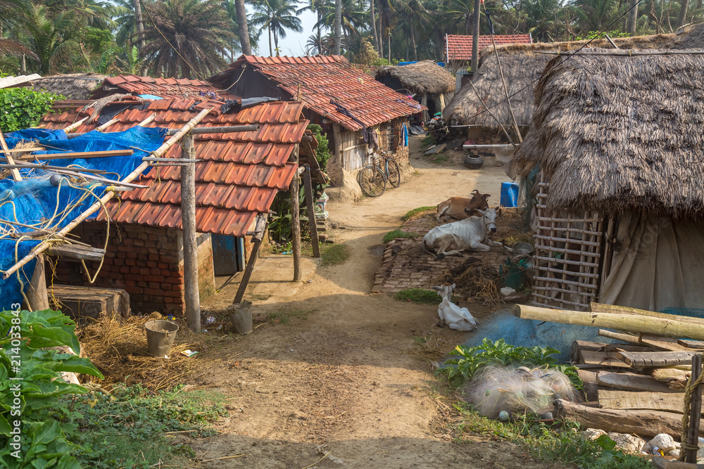 Rural Indian village with thatched houses and unpaved village road with cattle.