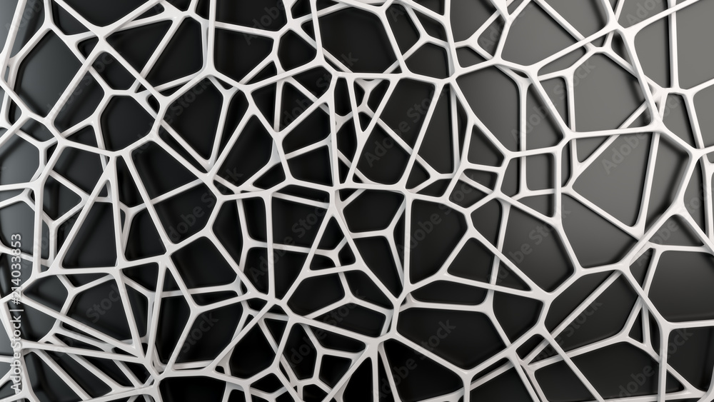 Fototapeta Abstrakcjonistyczna  biała kratownica na czarnym tle. Fototapeta 3D