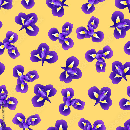 Fototapeta Naklejka Na Ścianę i Meble -  Iris Flower on Yellow Background