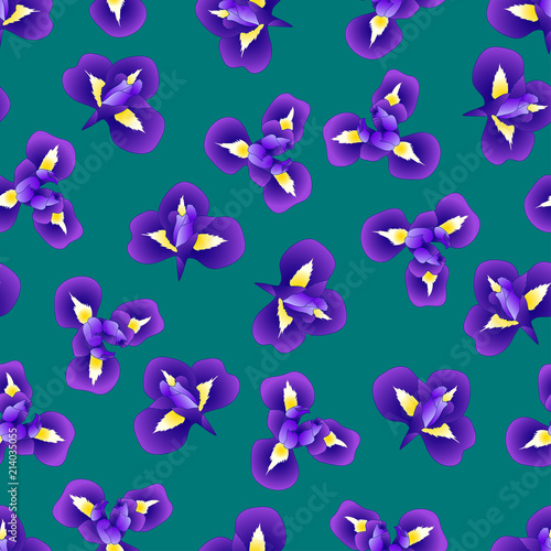 Iris Flower on Green Teal Background