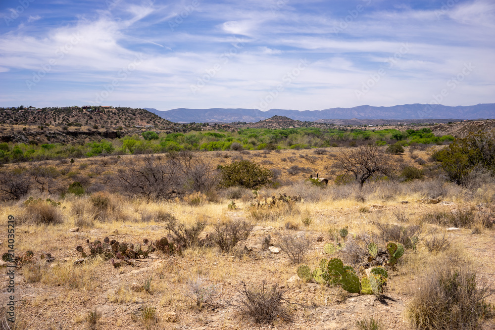 Landscape view from Montezuma Well,