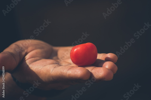 Small tomato in hand