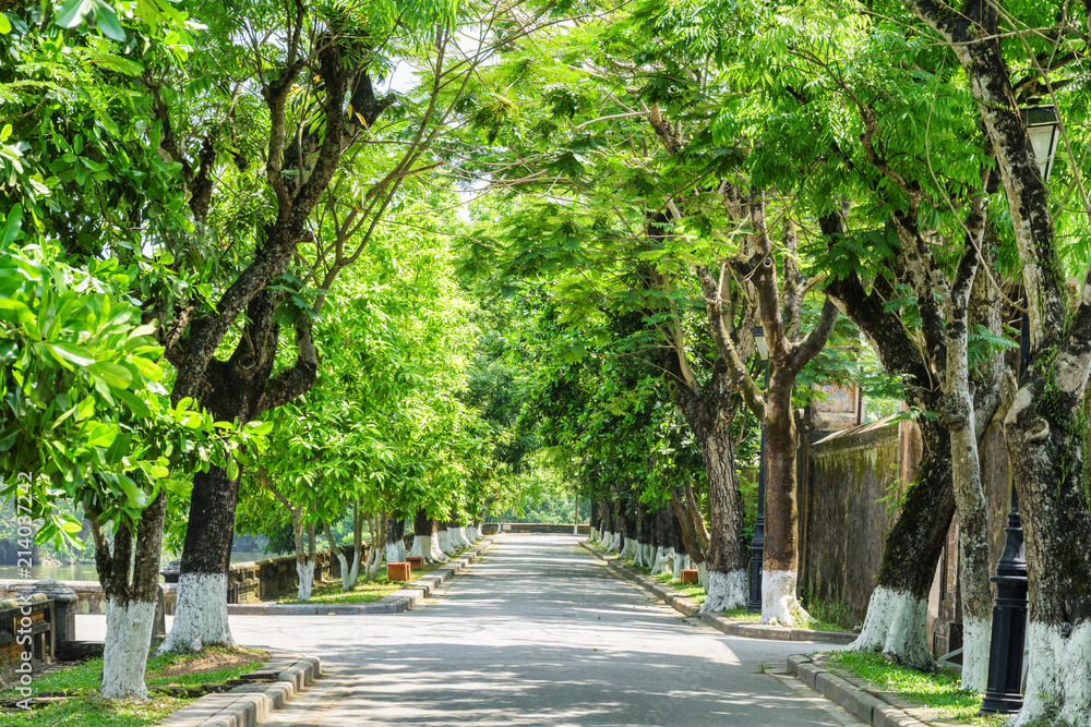 Wonderful green shady street at the Imperial City, Hue, Vietnam