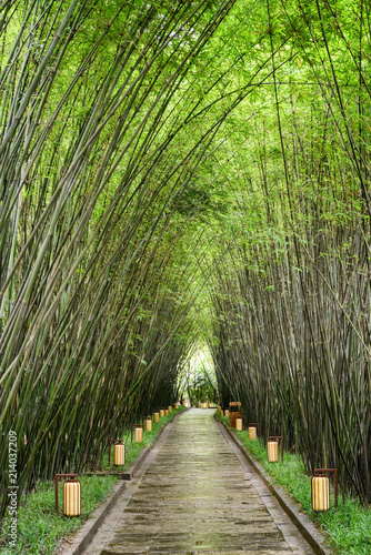Amazing shady walkway through bamboo woods after rain © efired