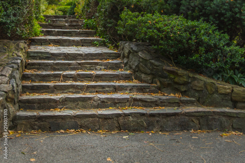 Fototapeta Rockowe schody w Central Parku w Nowym Jorku