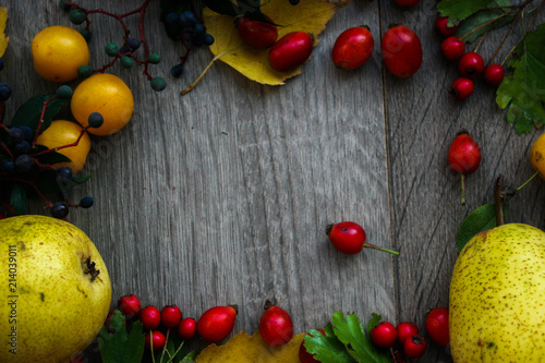 Autumn berries  leaves and pears on a gray background. Autumn background.