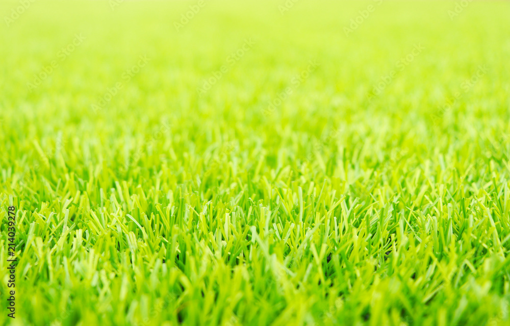 green grass background. - obrazy, fototapety, plakaty 
