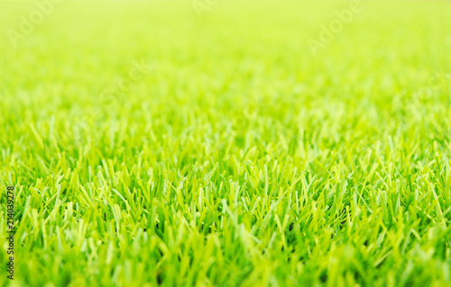 green grass background.