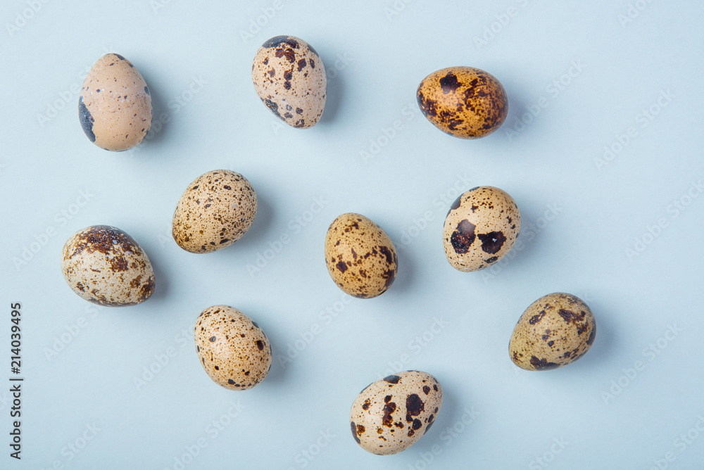 Beautiful spotted fresh quail eggs on a blue paper background