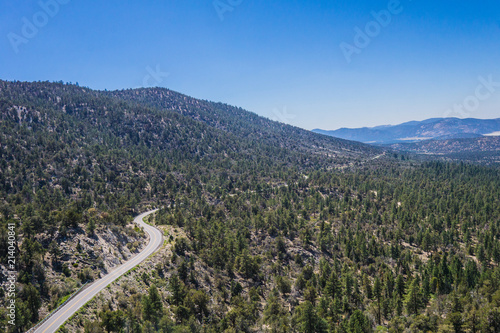 Road lies hidden beneath the pine trees on a mountainside in California hills.